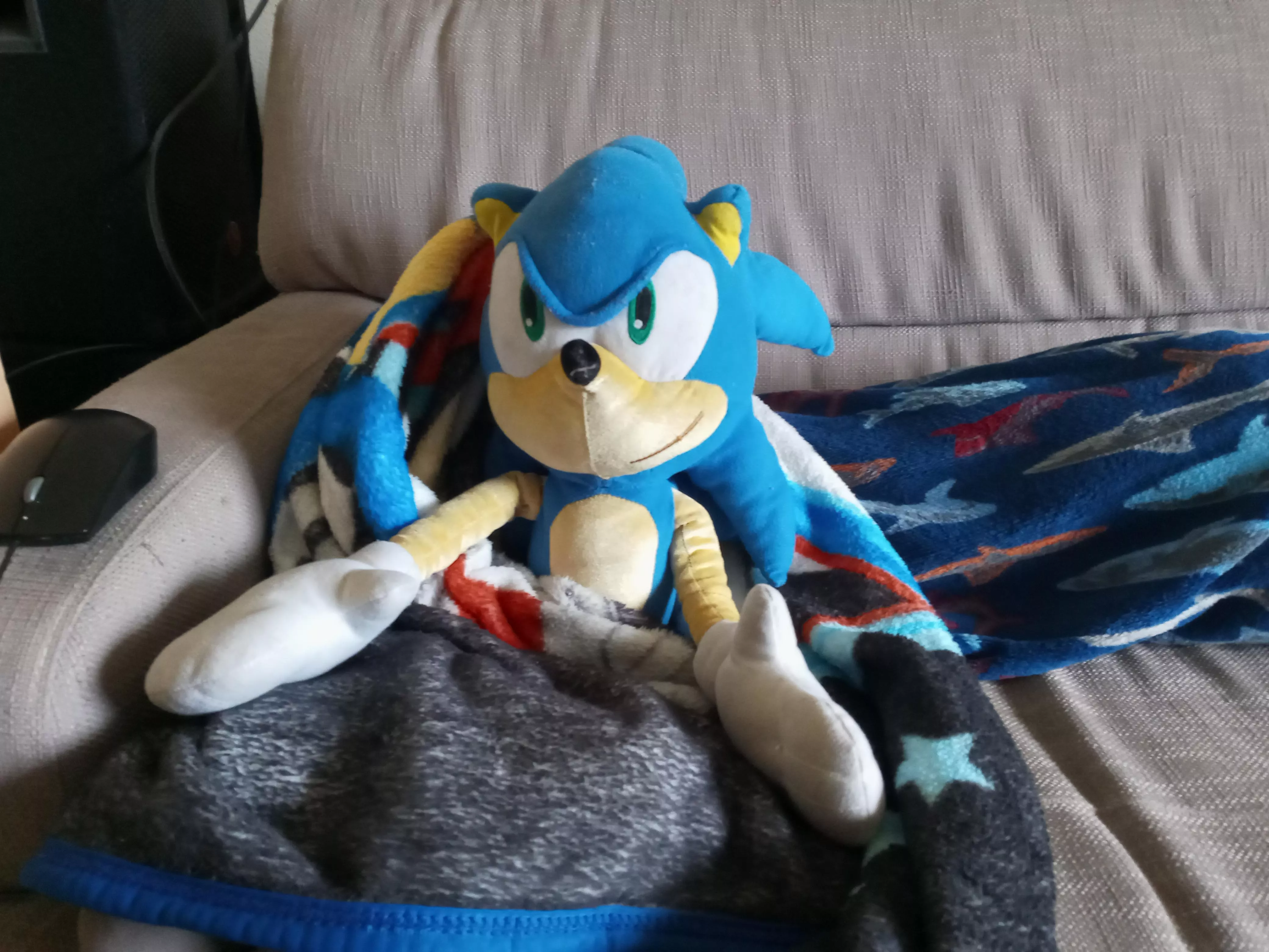 Anyone else like to make sure their cuddly friends are nice and comfy before leaving home?