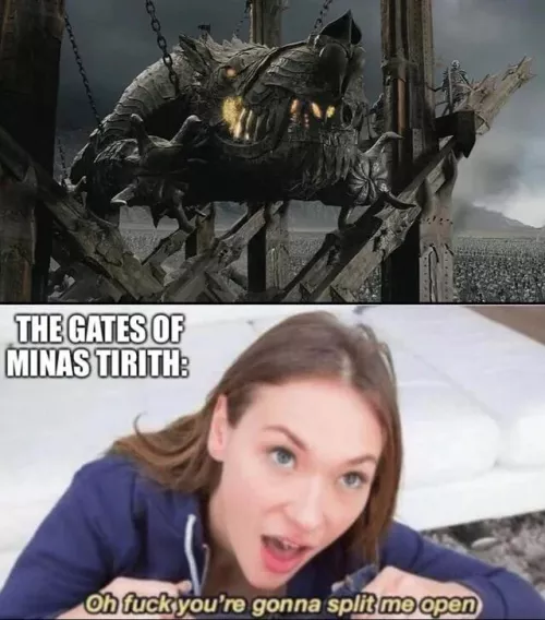 anyone have the sauce for the bottom of this meme?