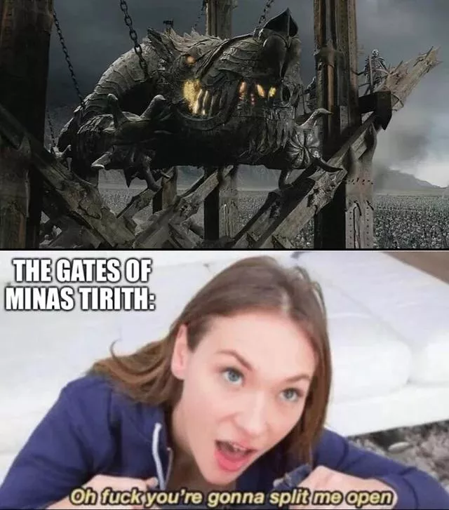 anyone have the sauce for the bottom of this meme?