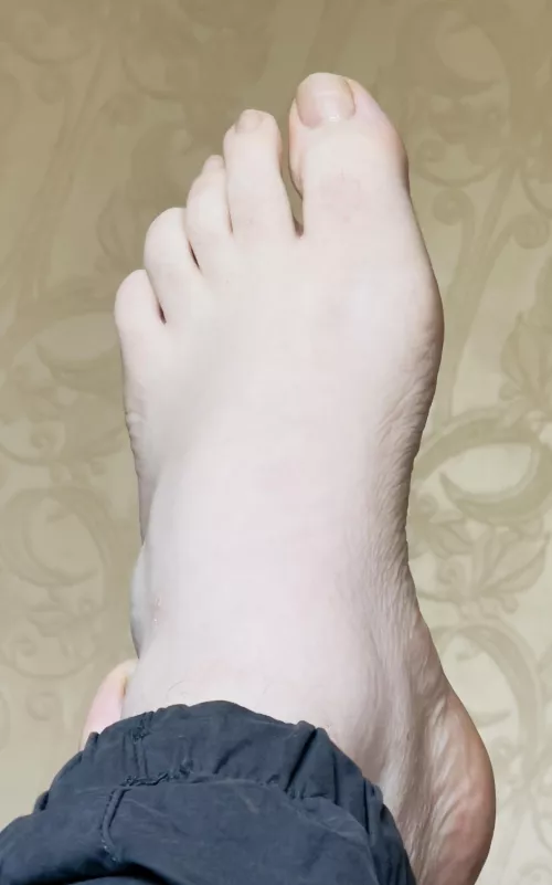 Anyone interested? 🙃