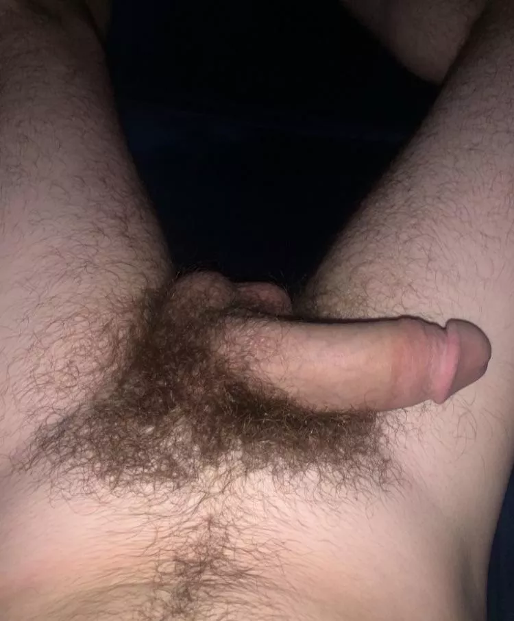 Anyone like a untrimmed pubes? 💪