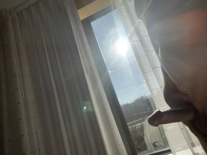 Anyone want to join me in my hotel and put a show on in the window