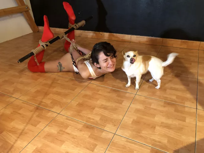 Are these kisses torturous? (Love when Bella hangs out with us)