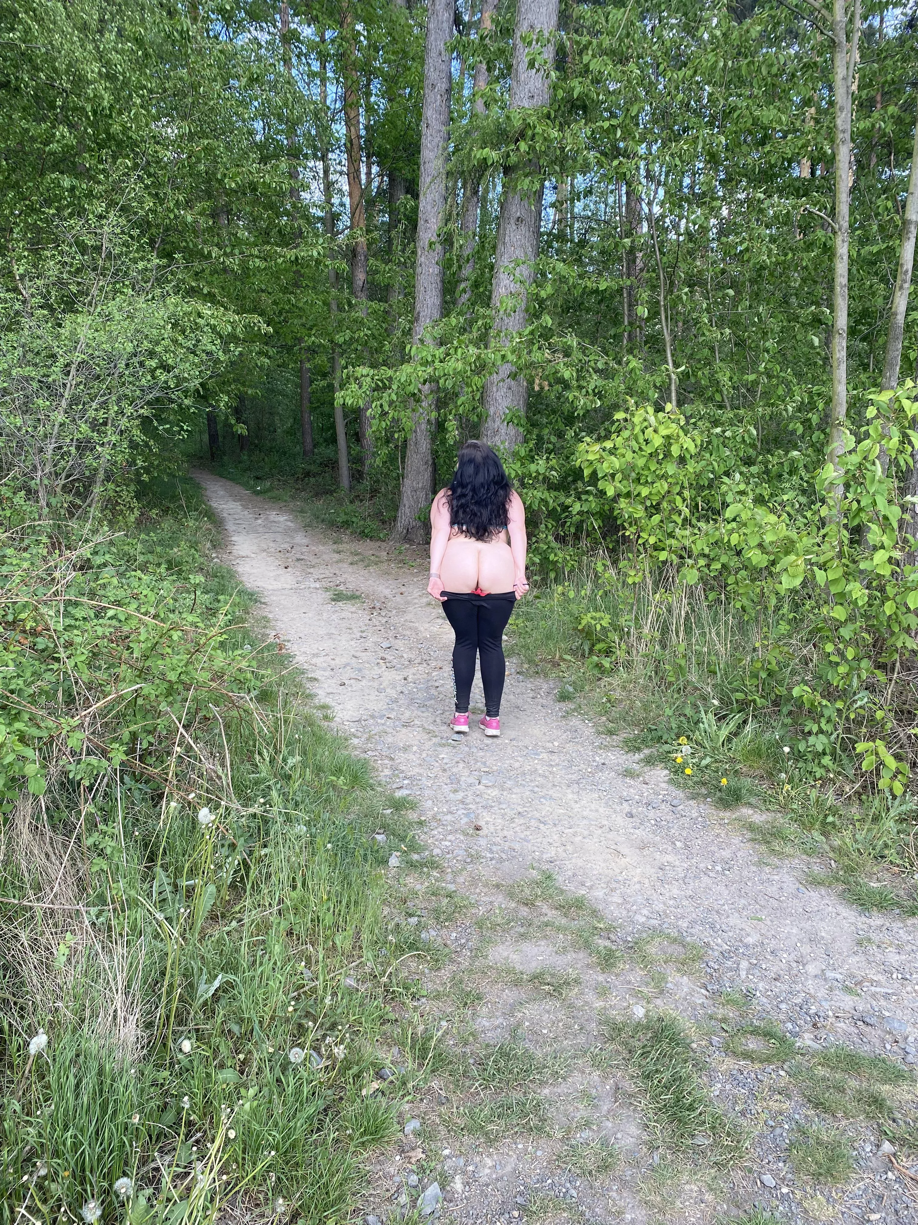 Ass in forest