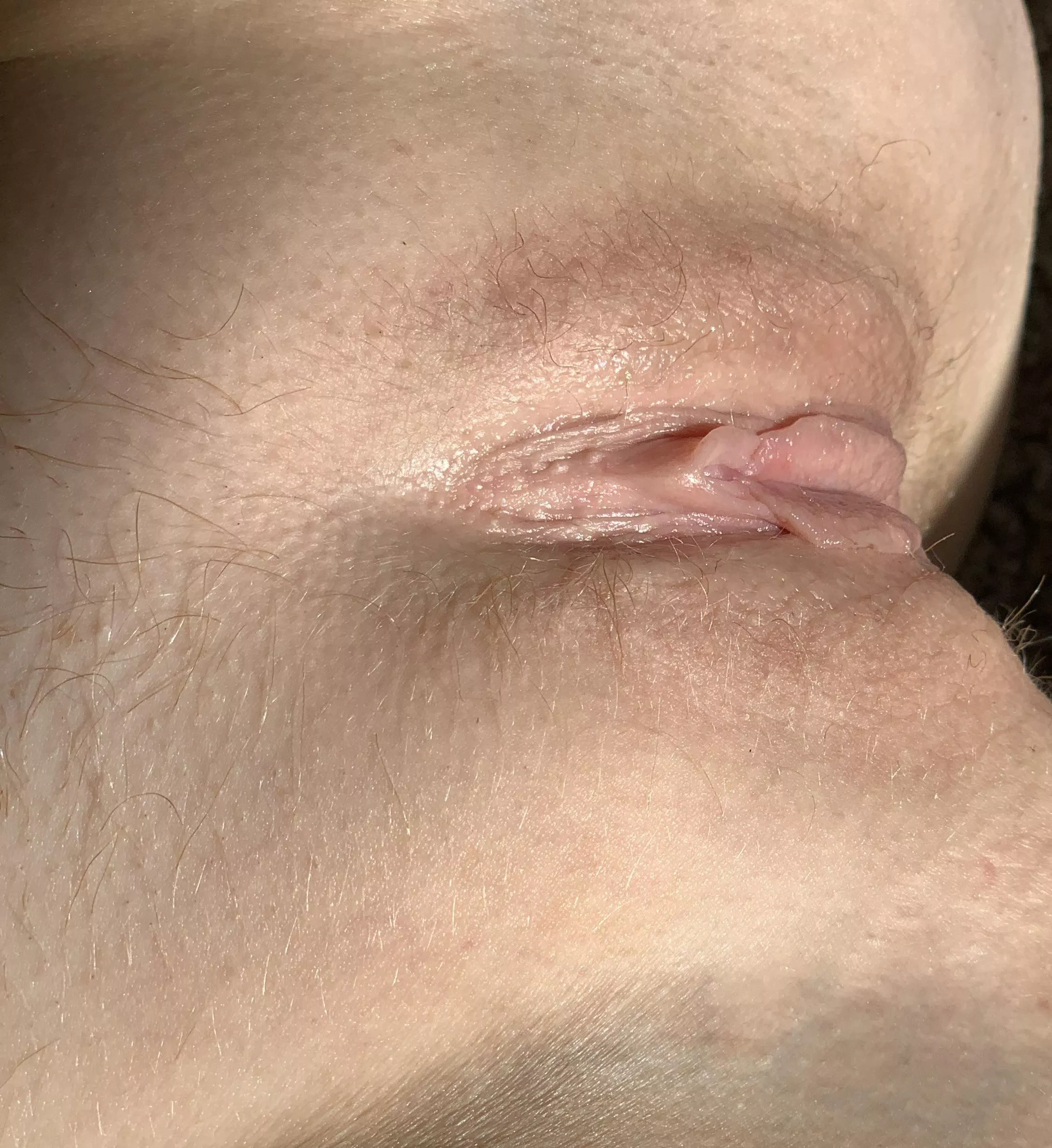 Baby butterfly wings