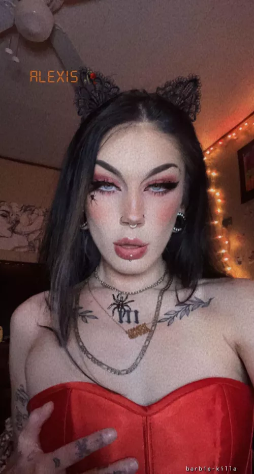 bad kitty :3