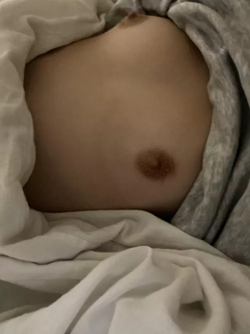 be honest… do you enjoy boobs that small?