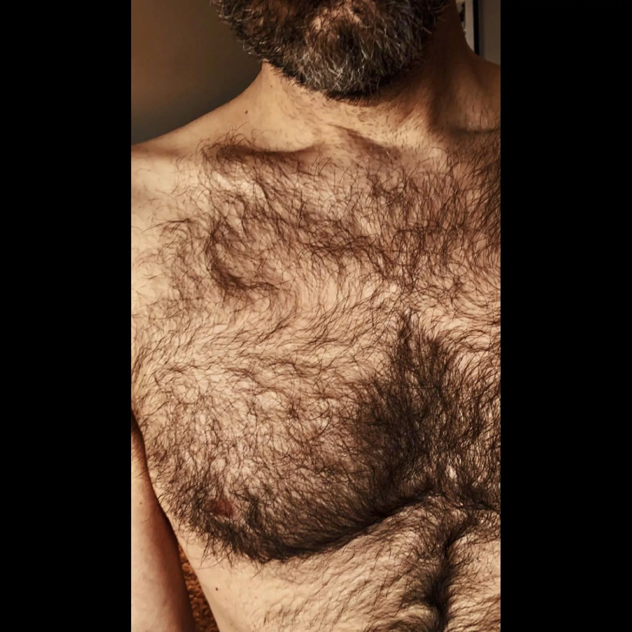 beard + boobie