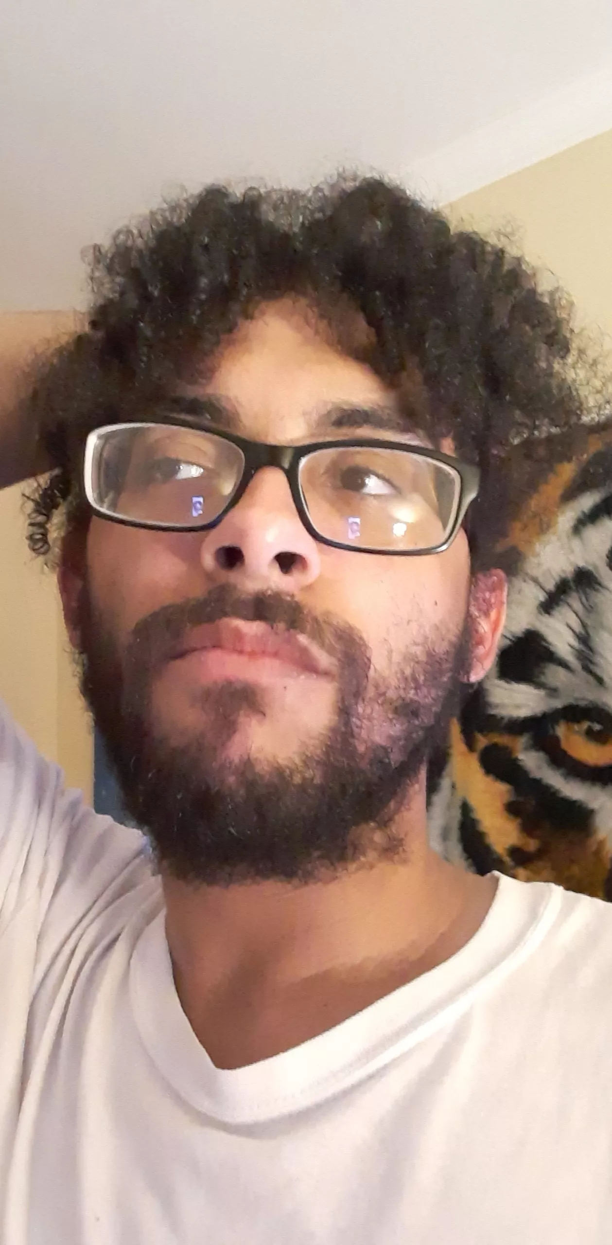 Been thinking about shaving my beard