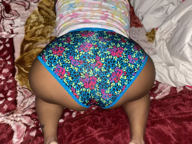 Best view in the house