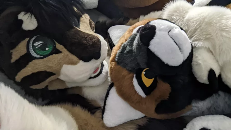 Big plushies give the best cuddles