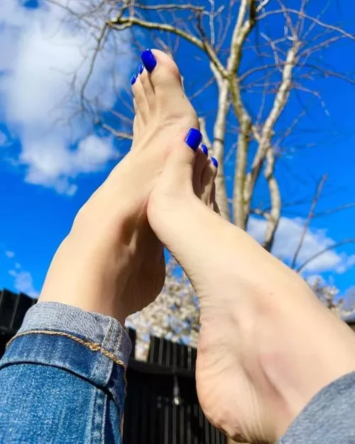 🔹️ Blue 🔹️