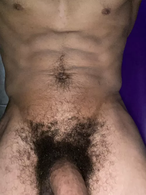 Boston PoundTown BBC