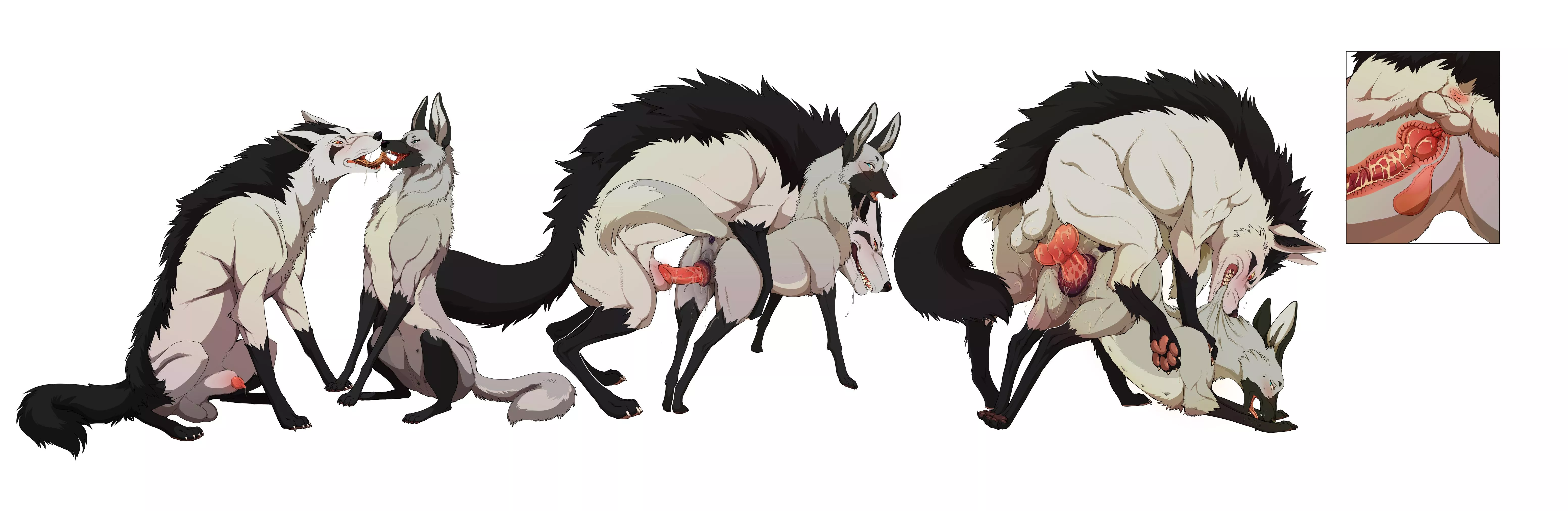 Bred [MF] (Shebeast)