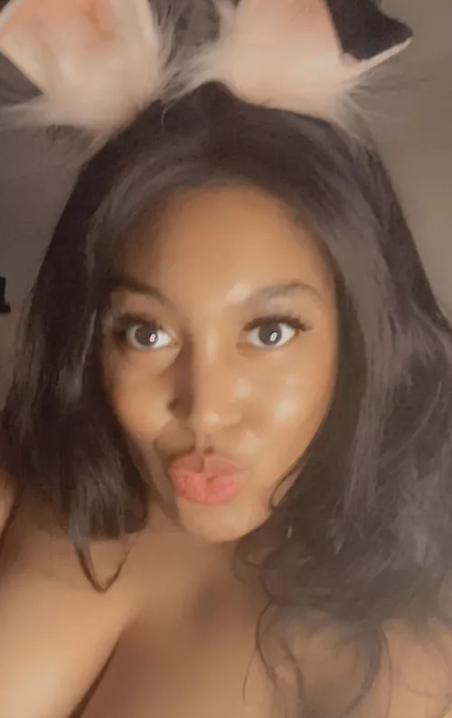 Brown Bunny Girl (f)