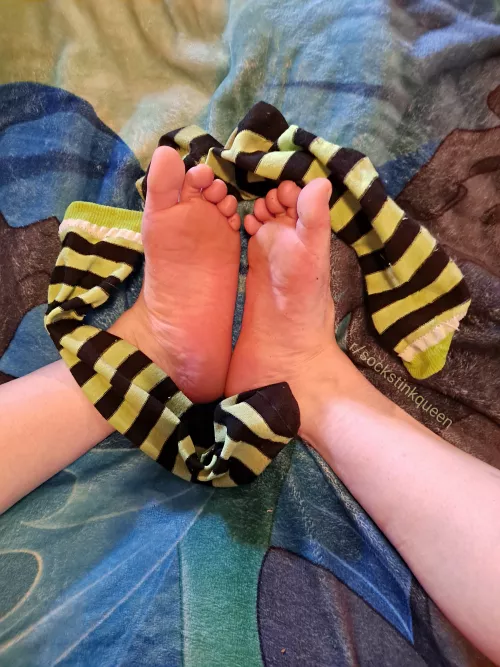 Bury your face in my socks