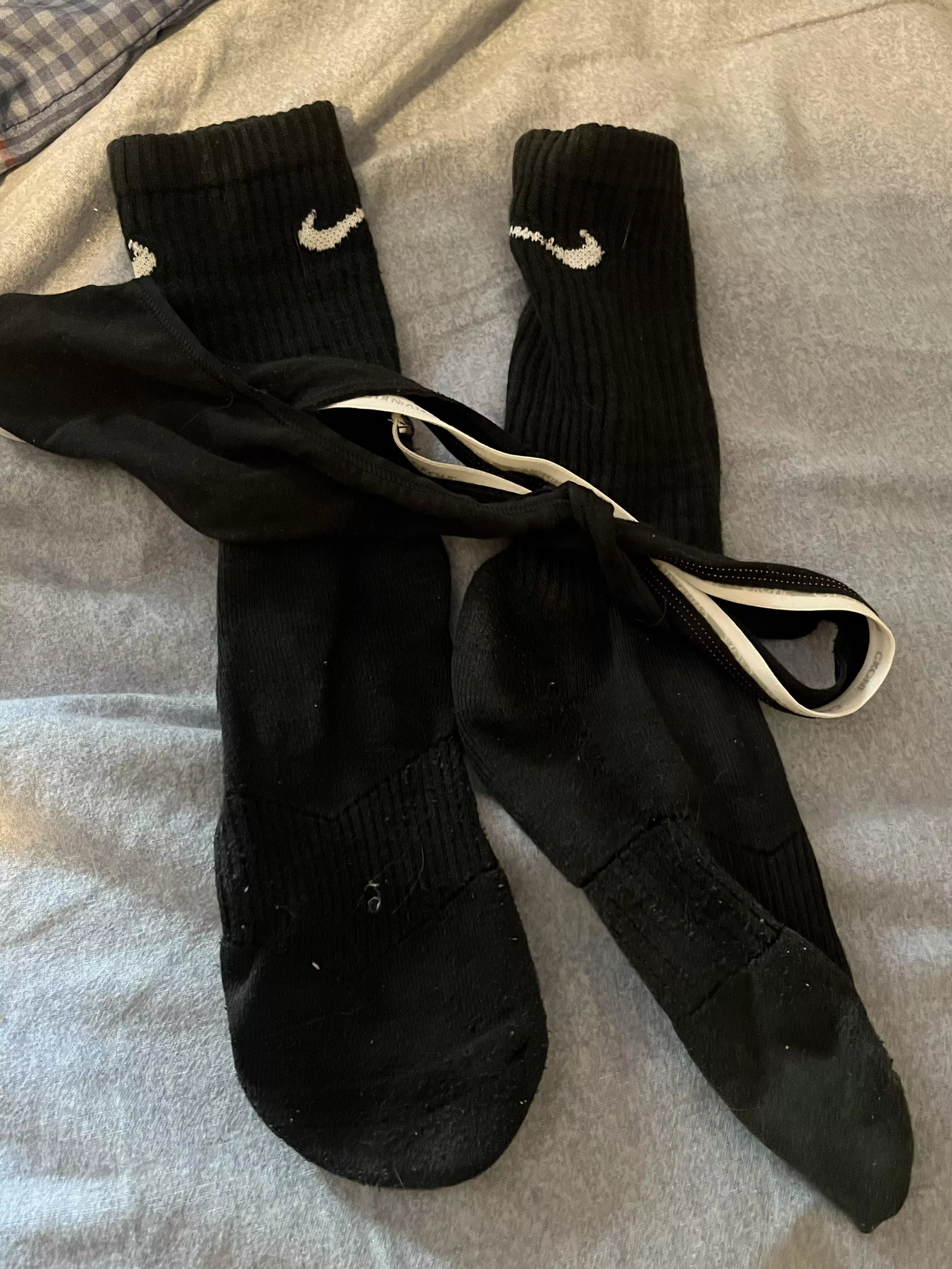 Came home from work to find these from my gf (pms opened)