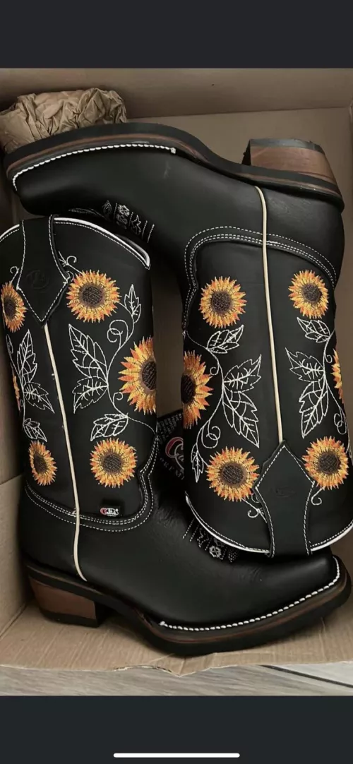 Can anyone help recognize these