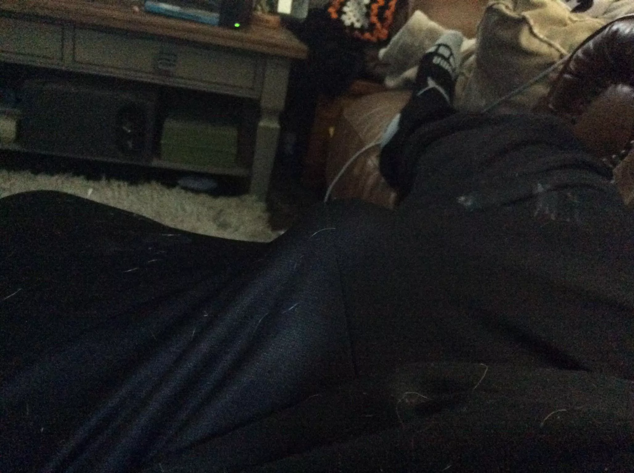 Can everyone upvote?