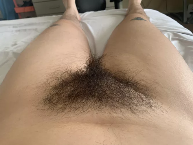 Can I tickle your nose with my bush?