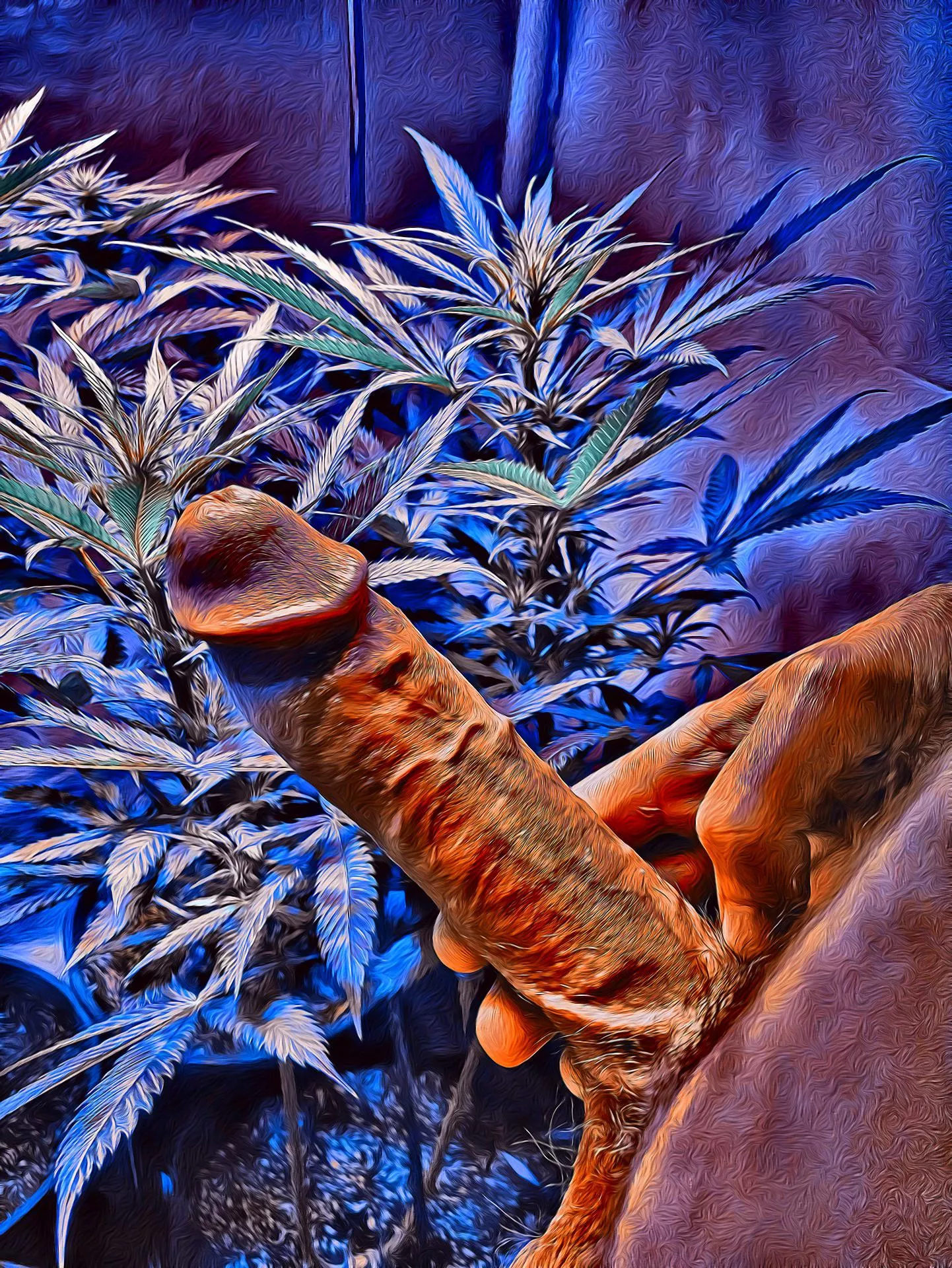 Cannabis Cock 🤘