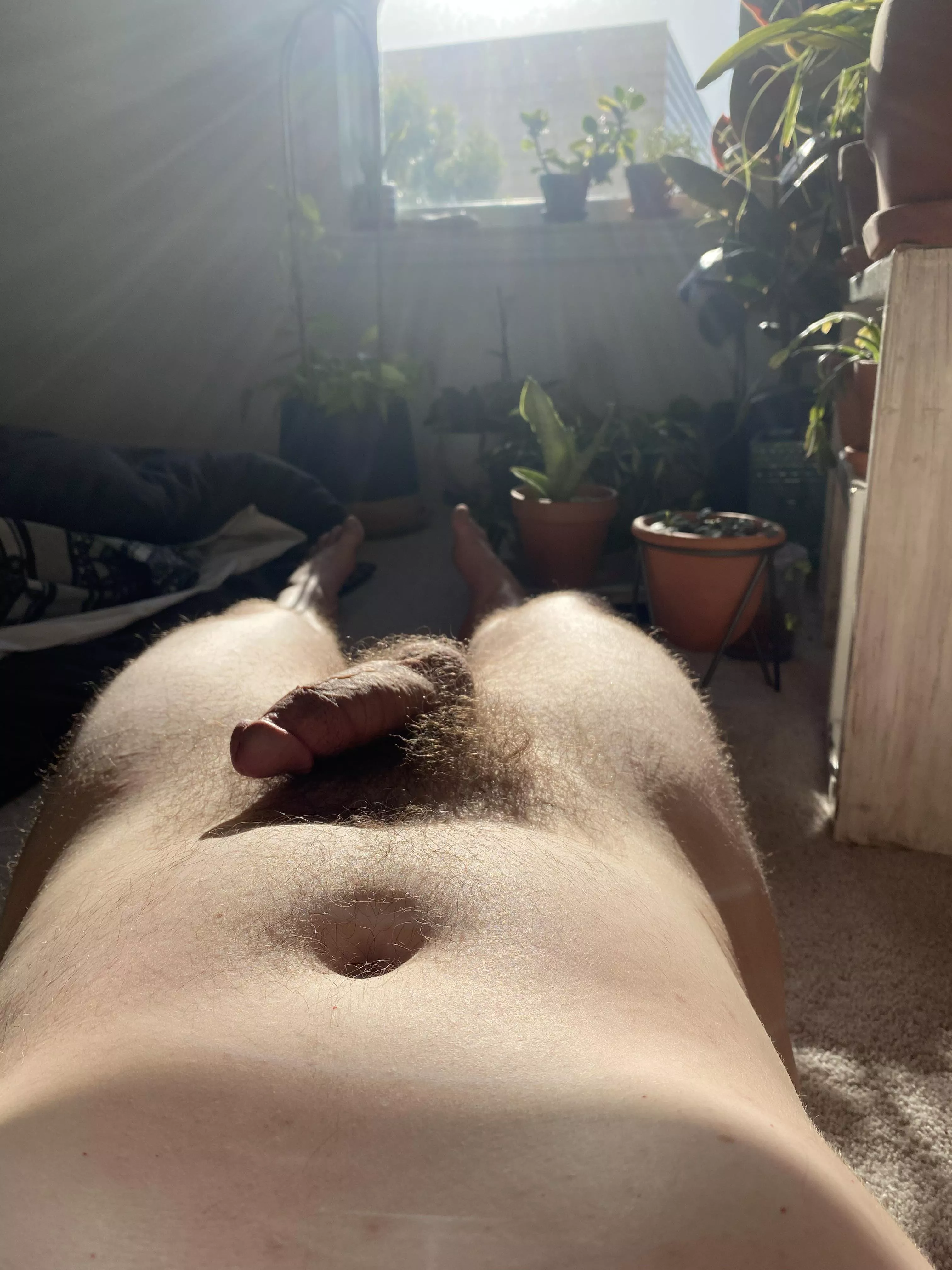 Catching some sun