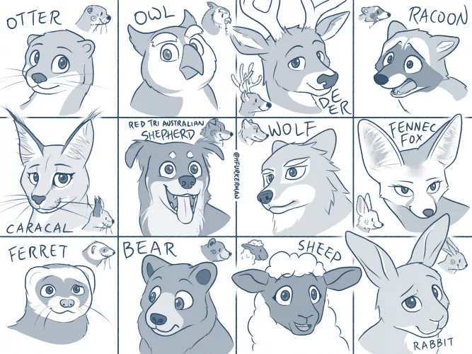 Challenged myself to draw 12 different species of animals and here’s the end result :3