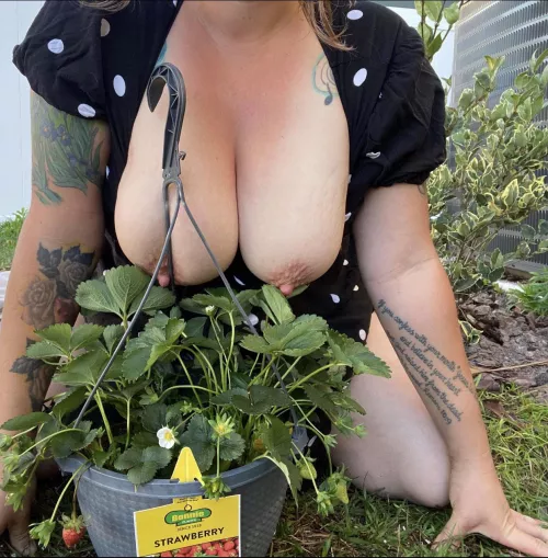 Changing it up, since it’s earth day let’s enjoy some of those strawberries