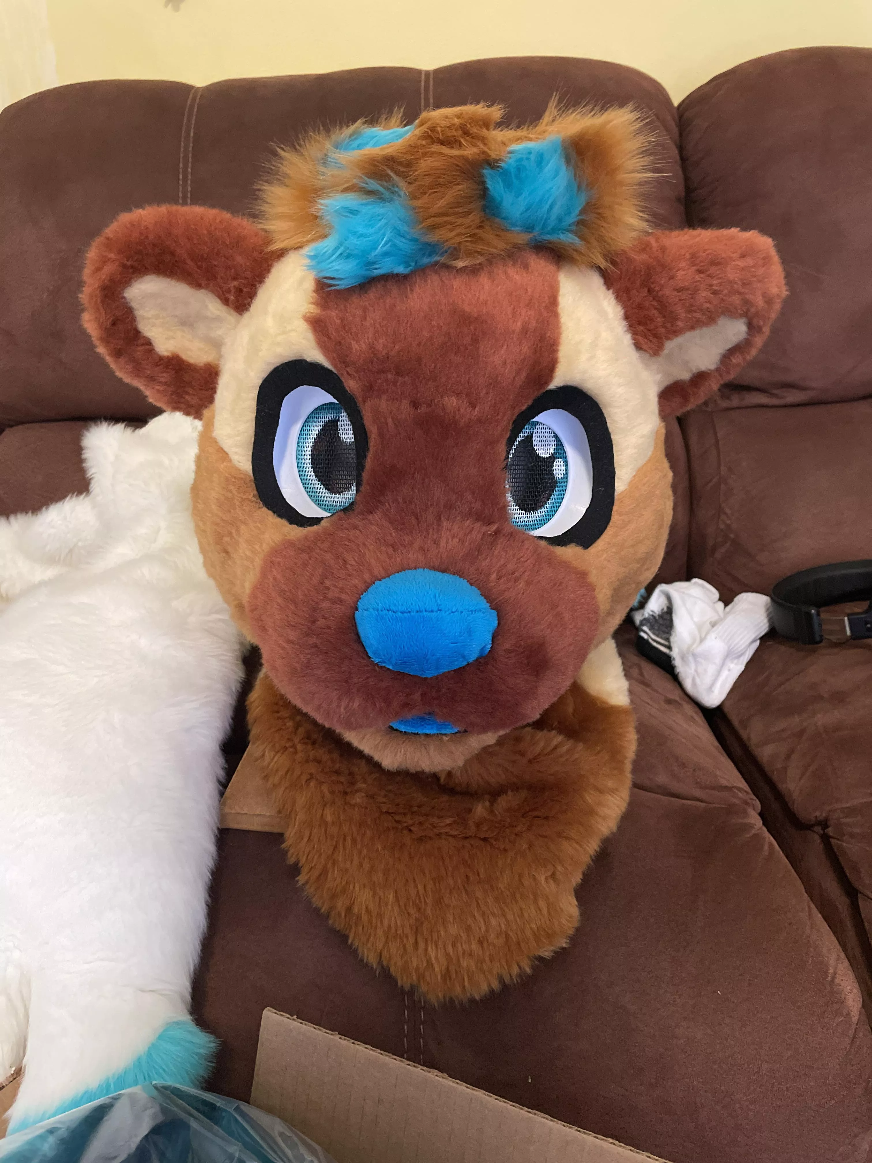 Check out the otter I made for myself! I’m also open for commissions! DM me here or follow me on twitter @stitchupsuits