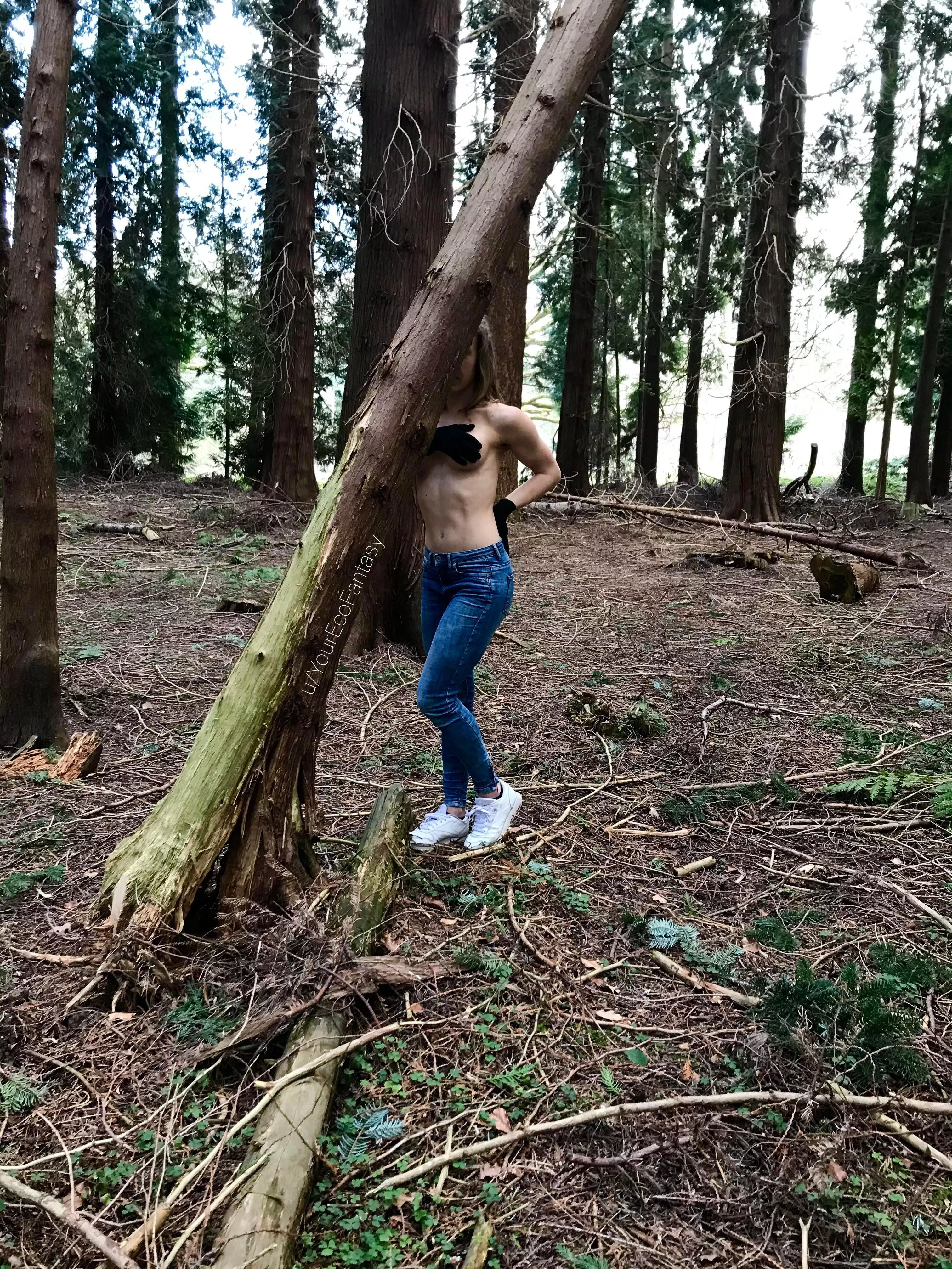 Chilly Sundays... 🥶🌲 [f]