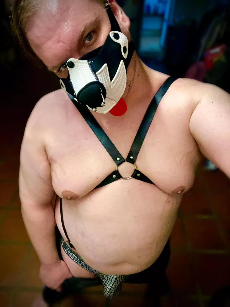 Chubby Puppy joining. Haven’t set on a name yet. Just Chubby Puppy thus far.