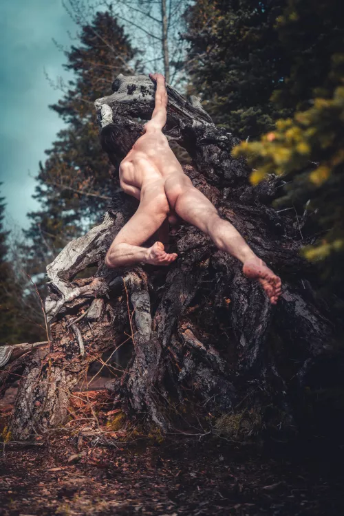 Climbing mother nature’s roots