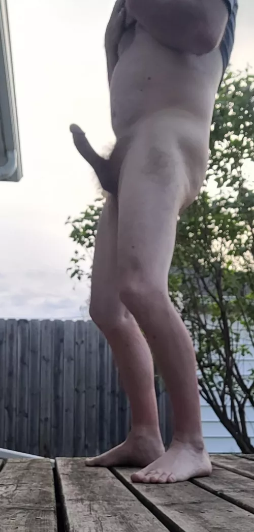 Cock on deck - 50/WI