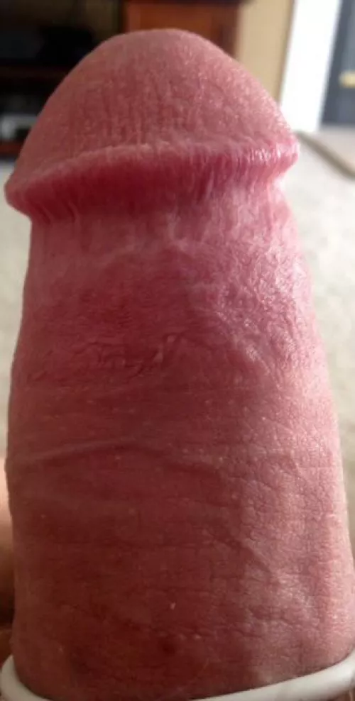 Cock rings feel so good around this tiny dick! [36]