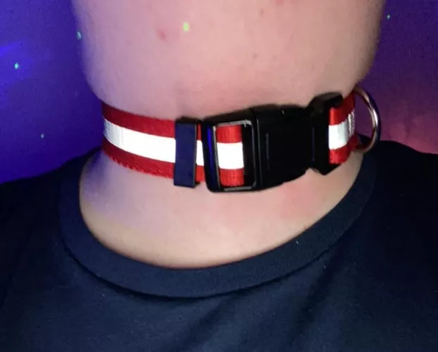 Collar me up nice a tight