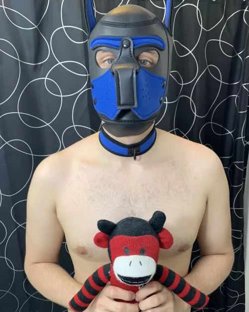 Come cuddle with us? 🥺🐶