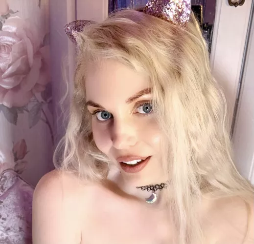 Could you tame this wild cat ?