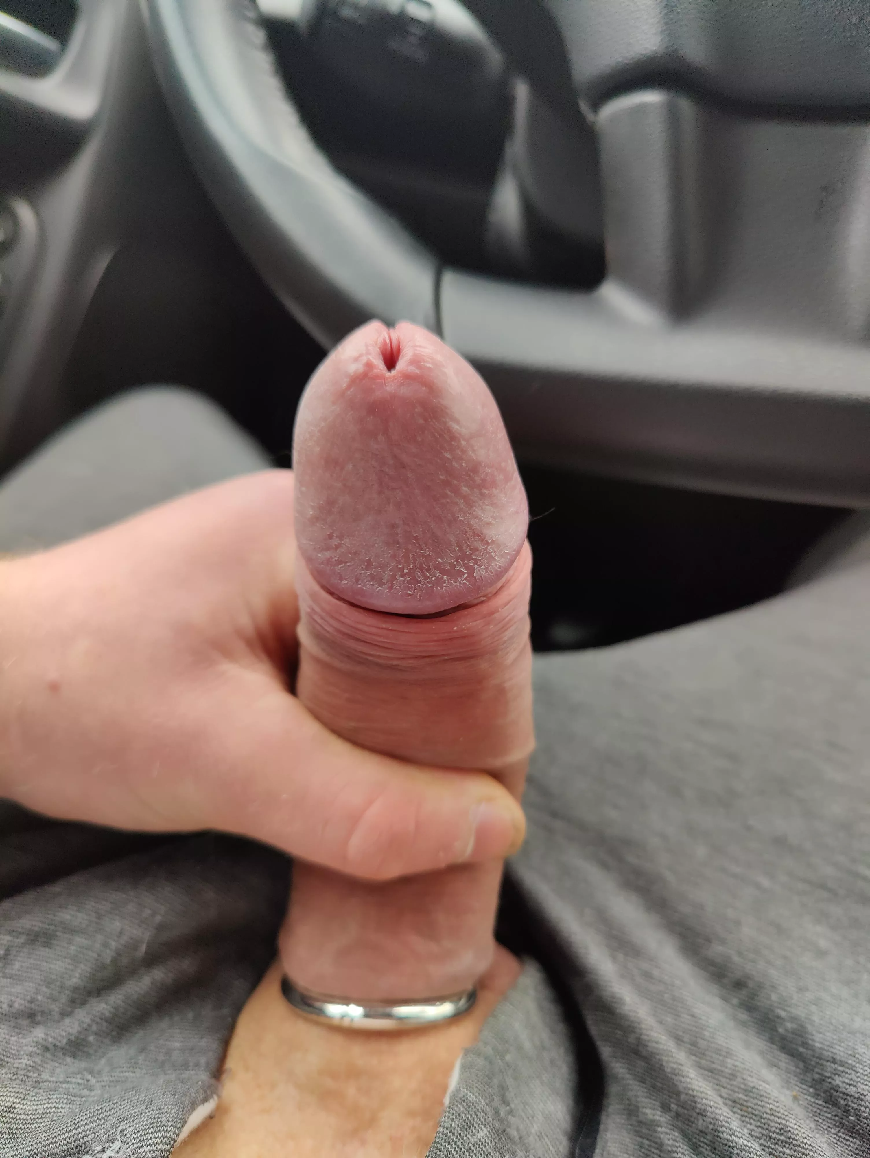 cruising at the local rest area