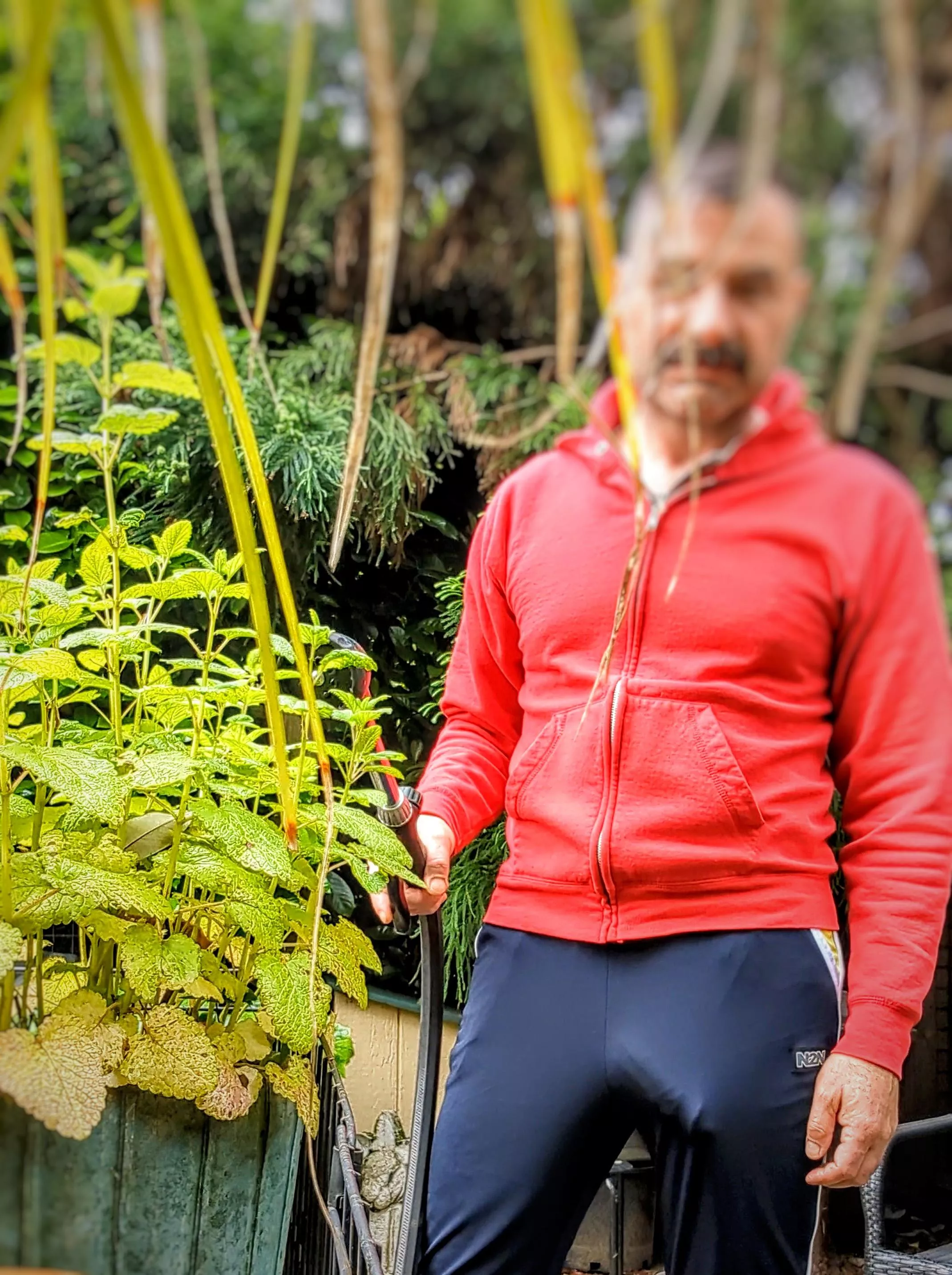 dad likes when you help in the garden dad likes when you help in the garden