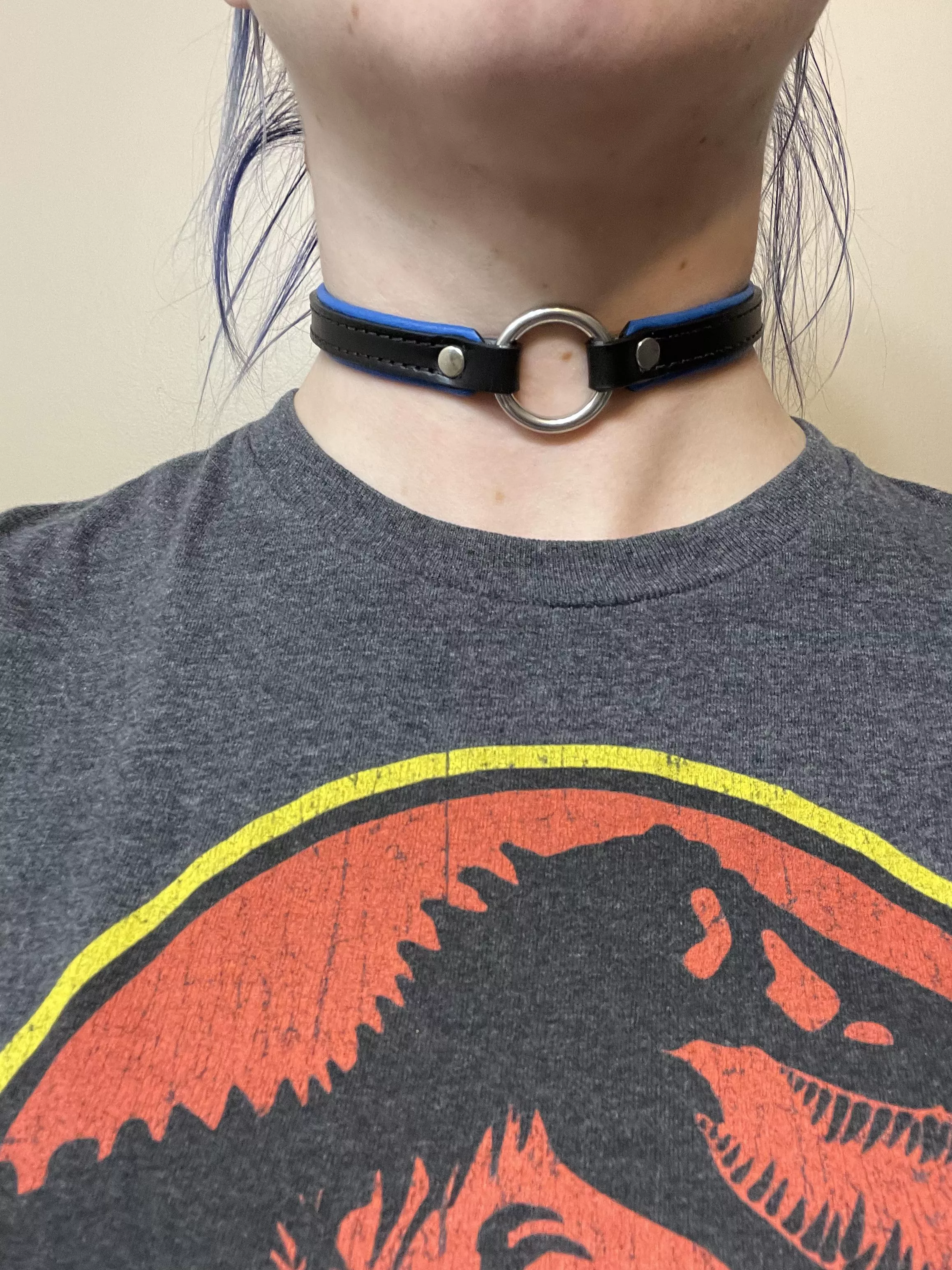Daddy bought me a new collar :) Do you like the blue? [f]