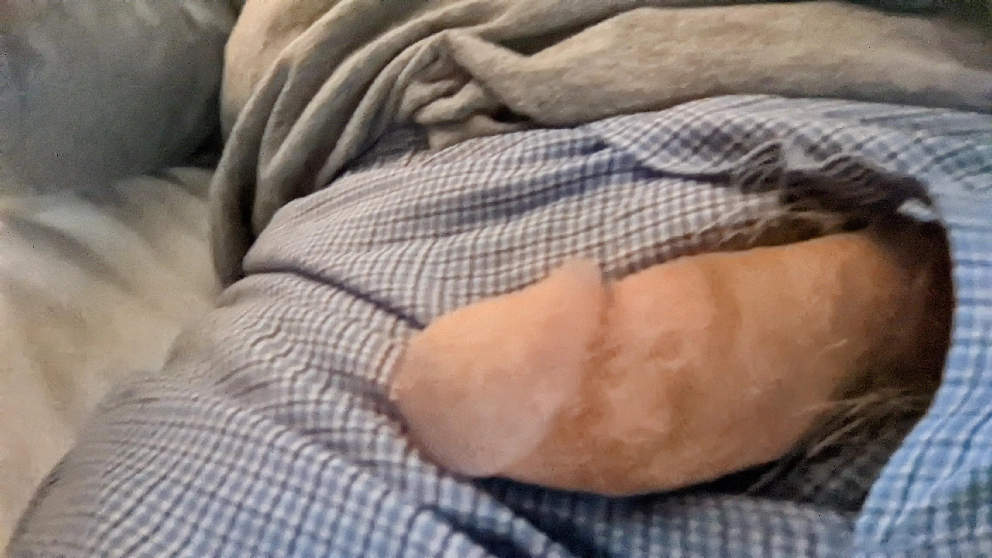 daddy's gotten very lazy daddy's gotten very lazy