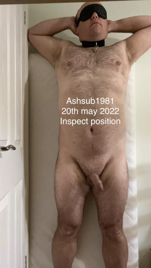 Daily submission picture