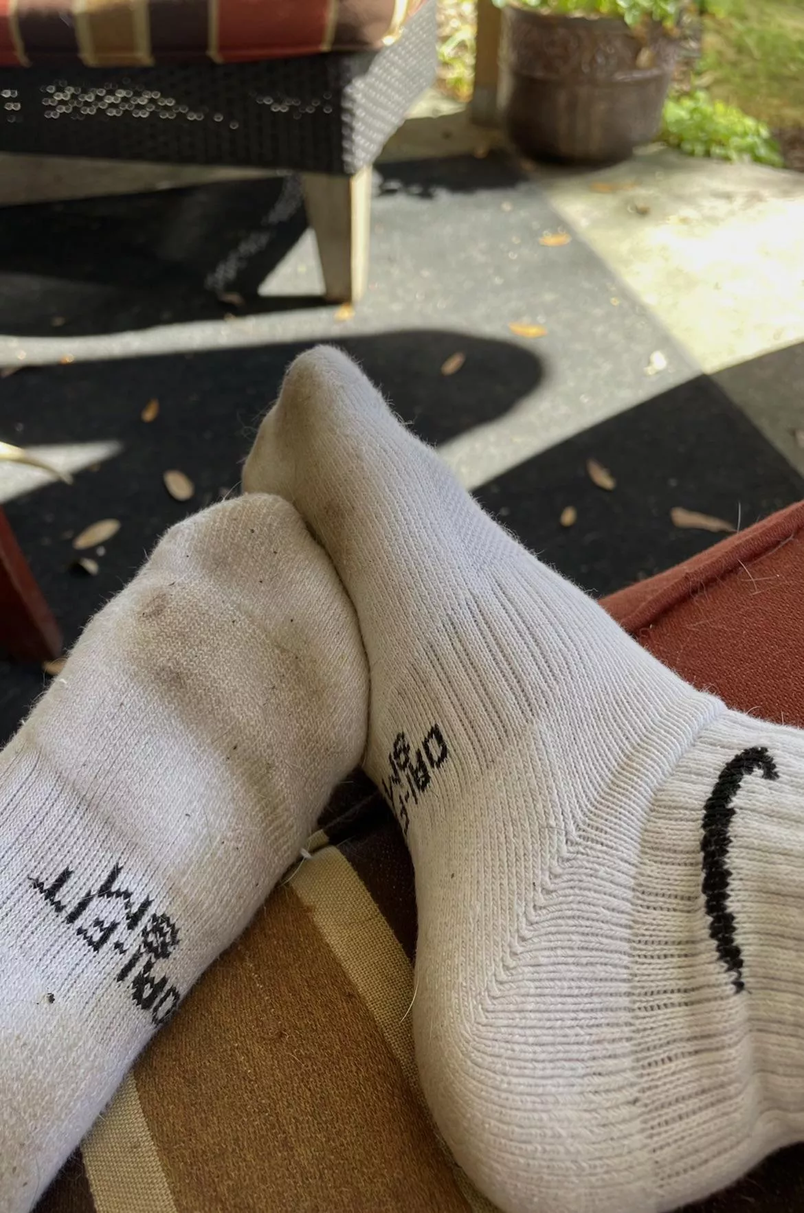 day two of these dirty and very stinky nike socks! [selling]🤩