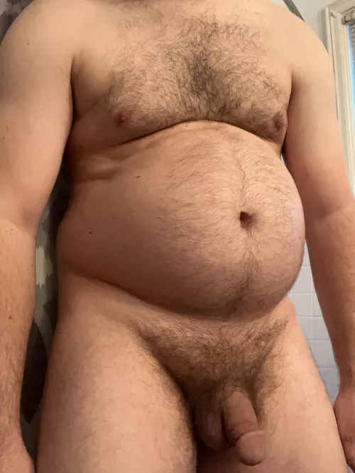Definition of dad bod