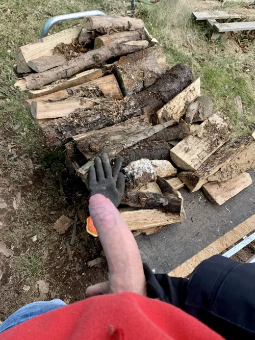 Did anybody wanted to see my wood?