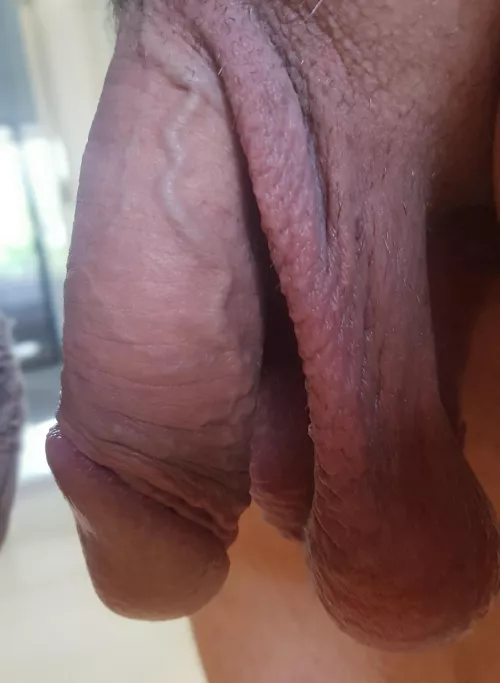 dm me to compare maybe jo