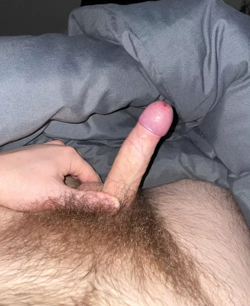 DMs open for bush lovers 😉