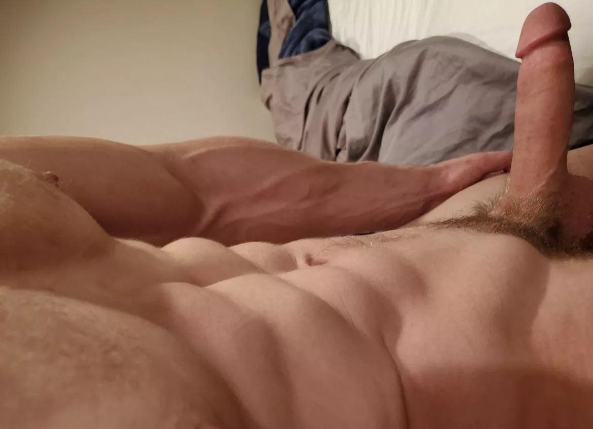 Dms opennn Dms opennn