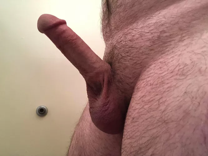 Do you both want to be pleased and watch? DMs open 21+ only