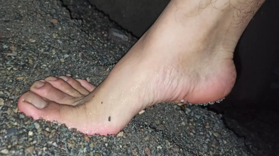 Do you like my arches?